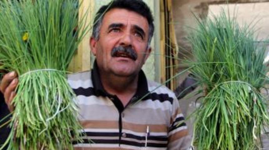 Van Peynire Katılan Sirmo Ve Heliz Piyasaya &Ccedil;ıktı