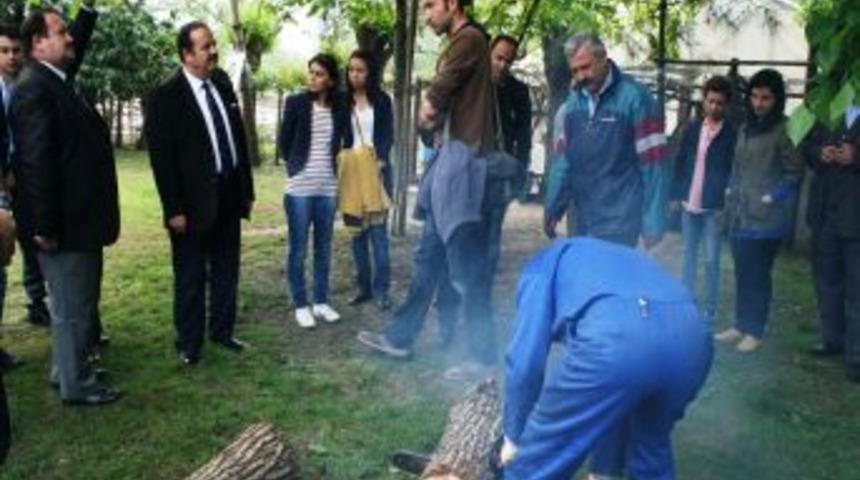 Ağa&ccedil;ta mantar yetiştiriciliği &ccedil;ift&ccedil;ilerin kazan&ccedil; kapısı oldu