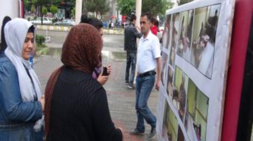 Hayatı fotoğraflayan &ccedil;ocuklar sergi a&ccedil;tı
