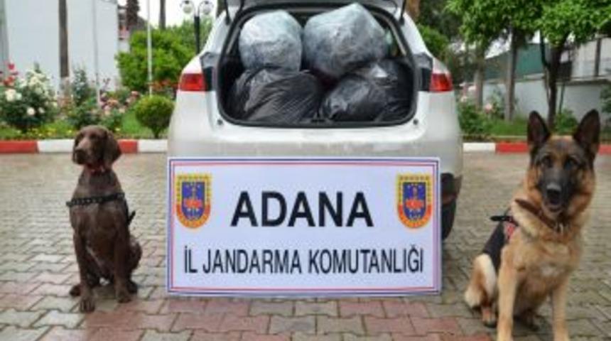 Ceyhan'da 49 Kilo 210 Gram Esrar Ele Ge&ccedil;irildi