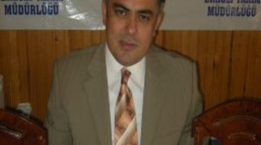 Elma Bah&ccedil;elerinde Karaleke Uyarısı