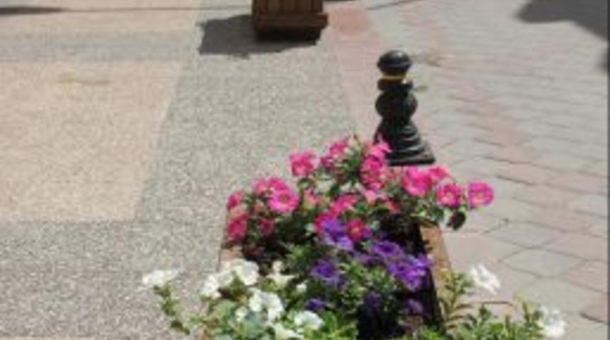 &Ccedil;ankırı Sokakları &Ccedil;i&ccedil;eklendiriliyor