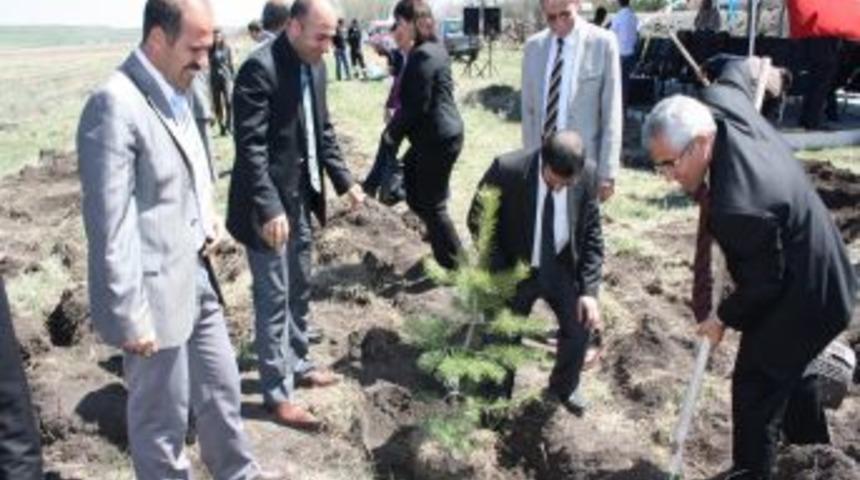 Demirci: Son 5 yılda ekilen ağa&ccedil; miktarı, Cumhuriyet tarihi boyunca ekilmedi