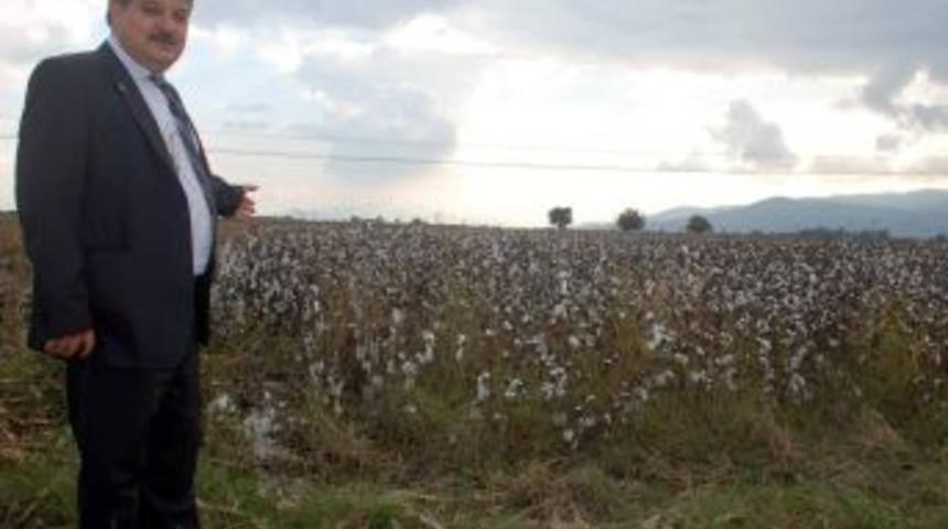 Ziraat Odaları Aydın Tarımının Yol Haritasını Belirledi