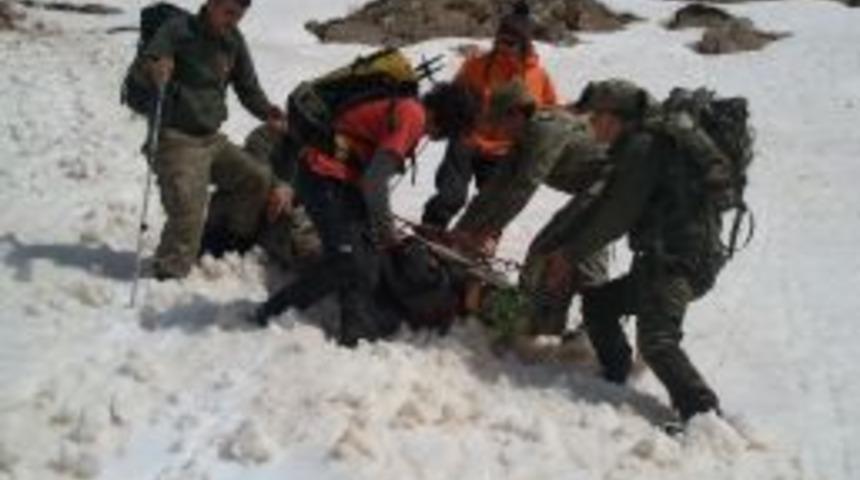 Kayalıklardan D&uuml;şen Avusturyalı Turisti Mehmet&ccedil;ik Kurtardı