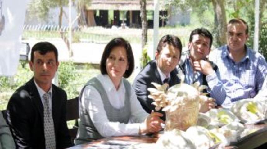 Muğla’da kayın mantarının ilk hasadı yapıldı