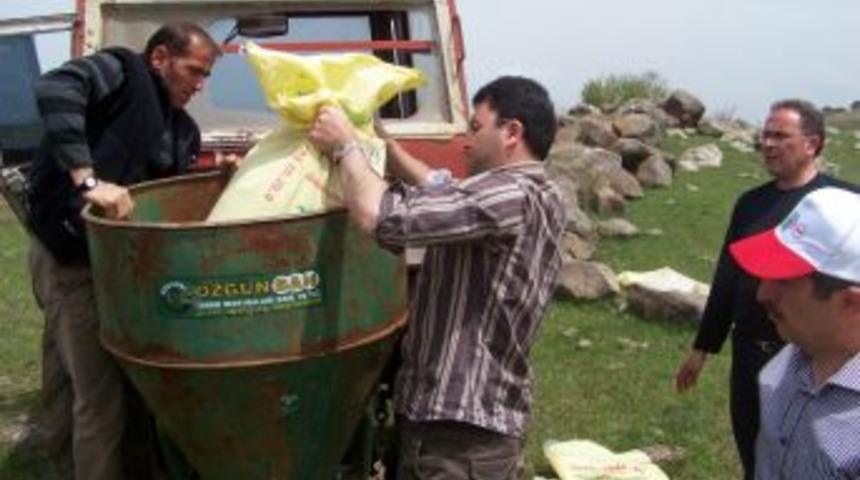 Ordu Yaylaları Islah Ediliyor