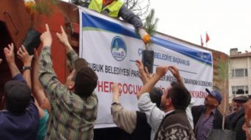 &Ccedil;ubuk'ta 5 Bin Fidan Dağıtıldı