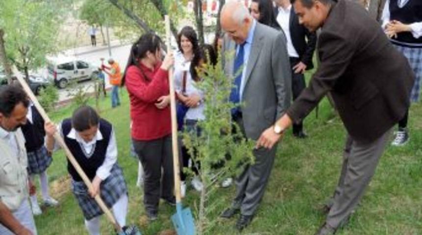Yenimahalle Belediye Başkanı Yaşar, Liselilerle Fidan Dikti
