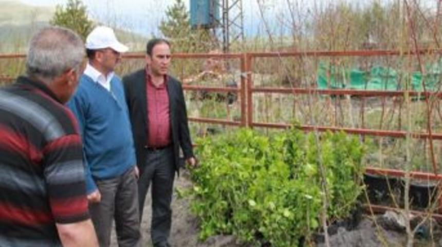 Başkan K&ouml;ksoy Birim Amirleri İle Birlikte Şehirde Denetime &Ccedil;ıktı