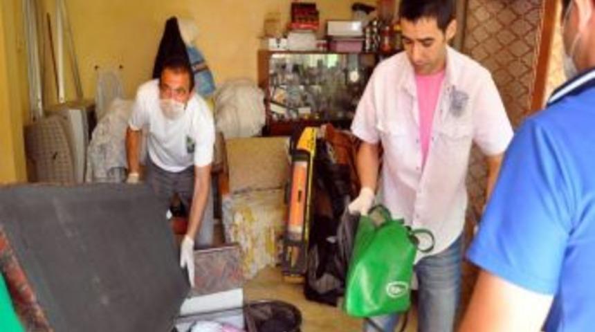 &Ccedil;&ouml;p Evde Kedi Avı