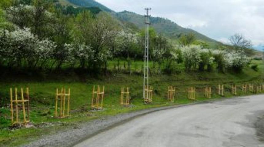 Posof'ta Caddeler Ağa&ccedil;landırılıyor