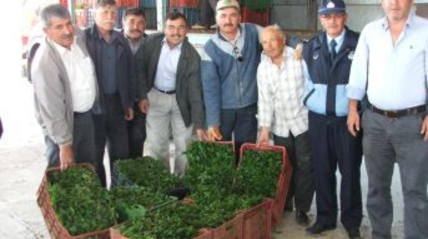 &Ccedil;ift&ccedil;iye 150 Bin Sebze Fidesi