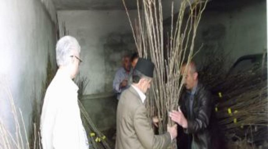 Hizan'da Fidan Dağıtımı