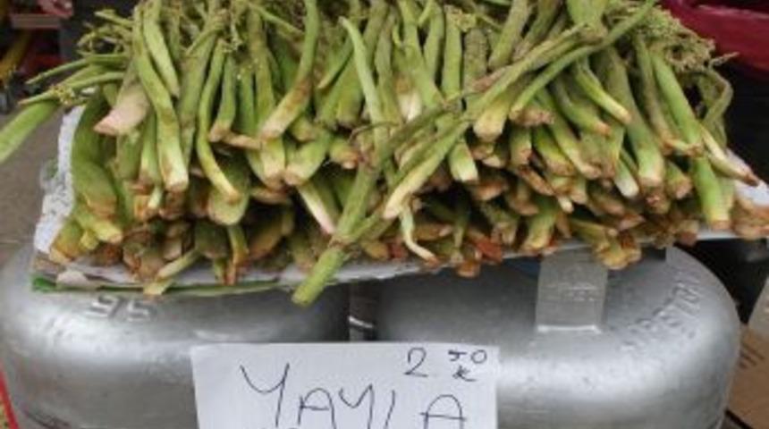 &Ccedil;kun Bitlis'in Hizan Ve Tatvan İl&ccedil;elerinde Piyasaya &Ccedil;ıktı