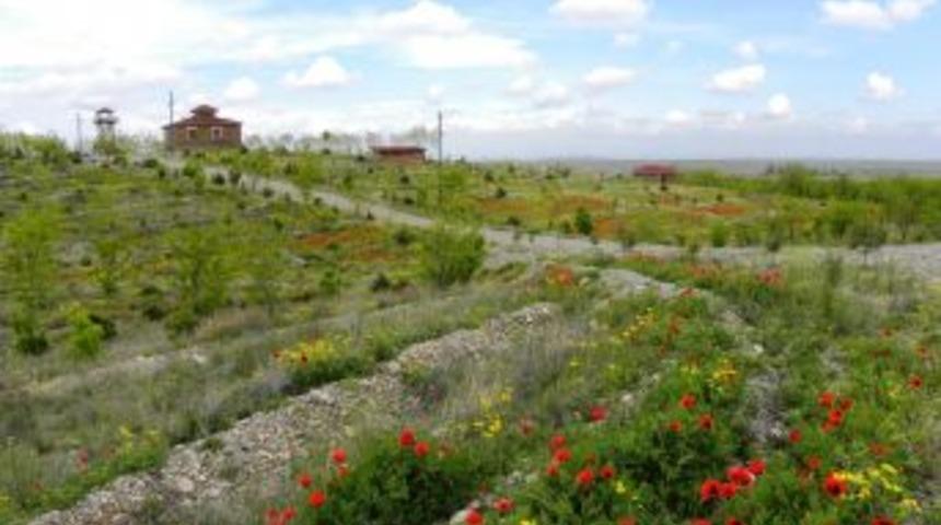 Iğdır'da 'piknik Alanlarını Kirletmeyelim' Uyarısı