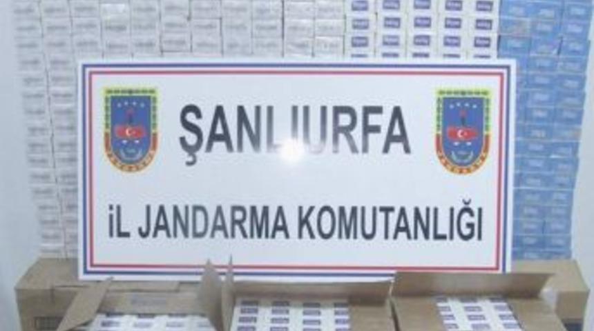 Şanlıurfa'da 421 K&ouml;k Kenevir İle 9 Bin 740 Paket Ka&ccedil;ak Sigara Ele Ge&ccedil;irildi