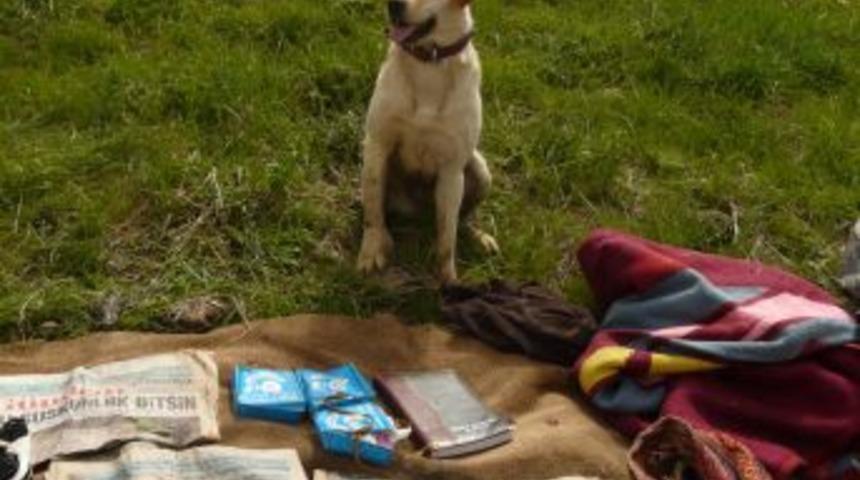 Ter&ouml;r &ouml;rg&uuml;t&uuml; PKK'nın 7 sığınağı imha edildi