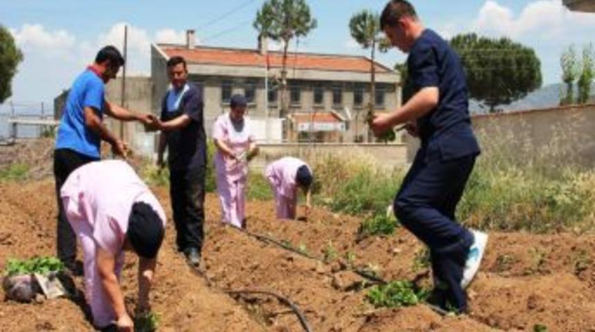 Hastane Bah&ccedil;esinde Sebze Yetiştiriliyor