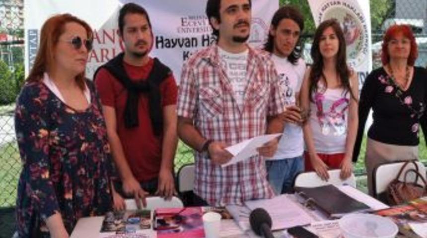 Hayvan Hakları Klub&uuml; Be&uuml;'de Stand A&ccedil;tı