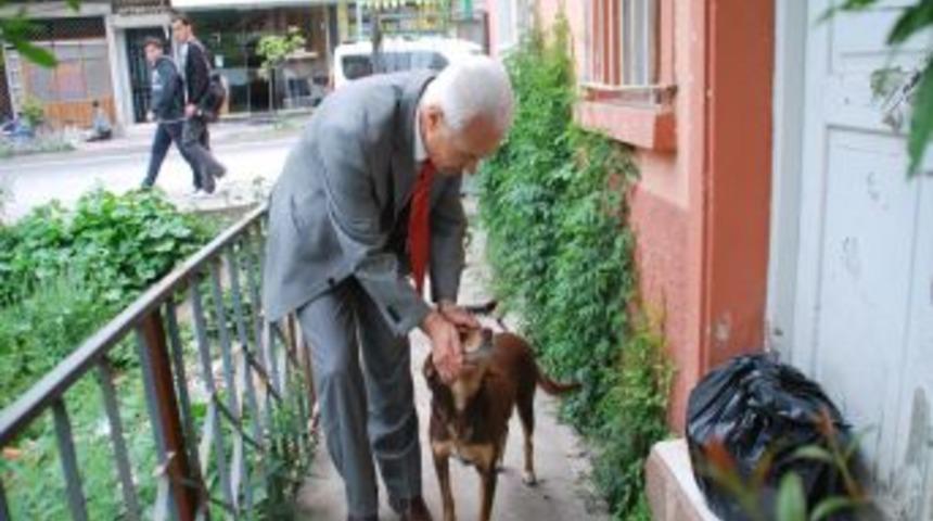 Başhekimin K&ouml;pek Sevgisi