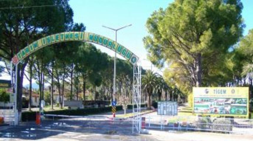 Dalaman Tigem Arazilerine Kiraya Veriyor