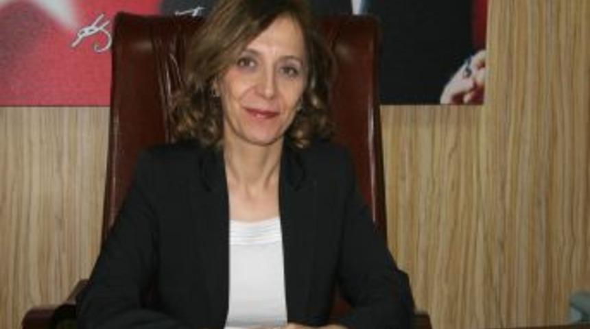 Zeytin Hasat Makinesi Hibe Olarak Verilecek