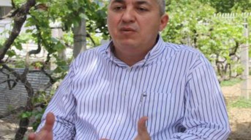 Ana&ccedil; Sığıra En Az 225 Tl'lık Destekleme M&uuml;jdesi