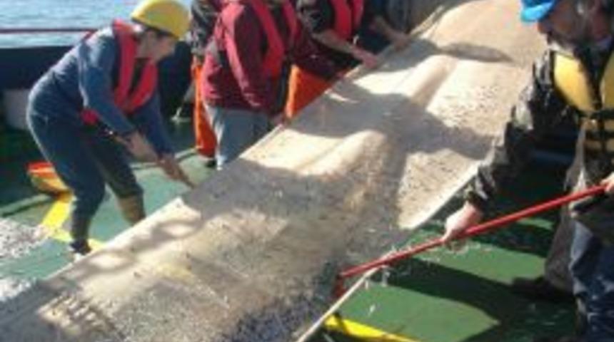 Bakanlık, balık varlığını kurtarmak i&ccedil;in tekne sayısı azaltacak