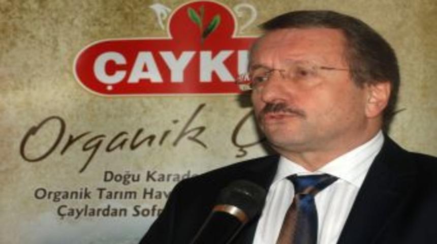S&uuml;tl&uuml;oğlu: &Ccedil;ay alımında kaliteden taviz vermeyeceğiz