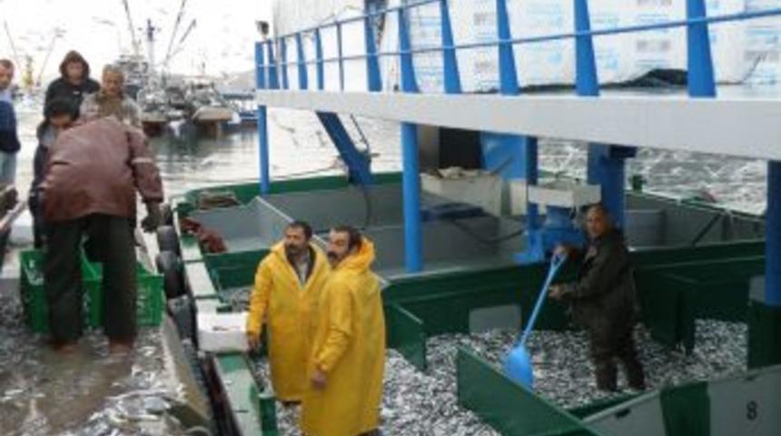 Balık Varlığını Kurtaracak Proje Hayata Ge&ccedil;iyor