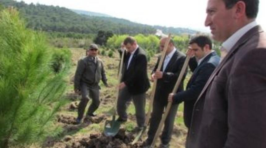 Milletvekillerinden Hatıra Ormanı