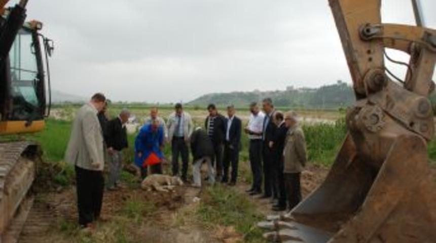 Karacabey'e Tarım &Uuml;r&uuml;nleri &Ccedil;arşısı