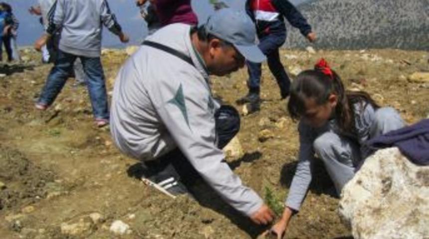 Mut'ta &Ouml;ğrenciler Fidan Dikti