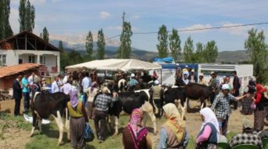 Burdur Dsyb'den Kibrit'e 120 Baş D&uuml;ve