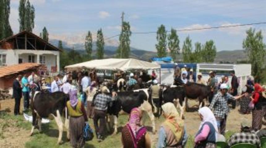 Kırsal alan destiğiyle 30 k&ouml;yl&uuml;ye 120 d&uuml;ve verildi