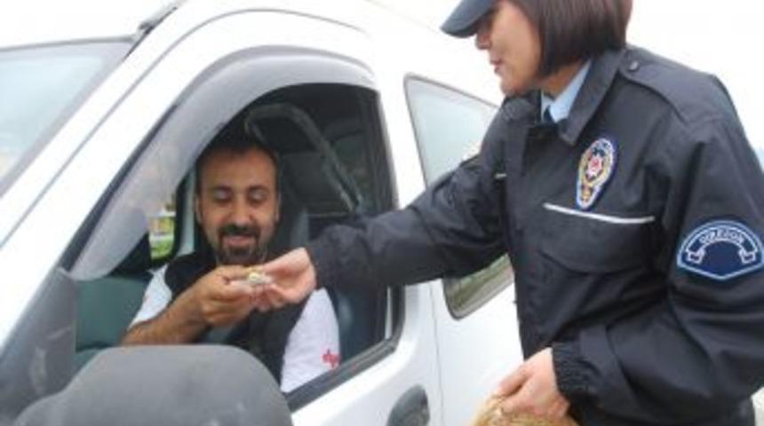 Giresun'da Polisten Ceza Yerine Fındık