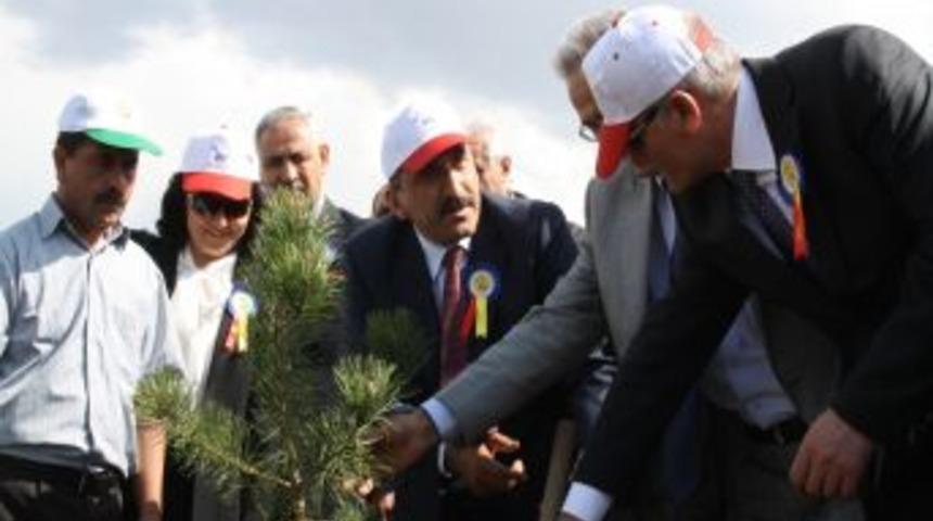 Ptt Kayseri'de 25 Bin Ağa&ccedil; Dikti