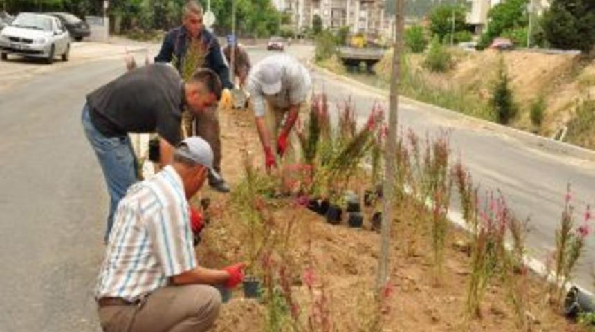 Manavgat'ta Peyzaj &Ccedil;alışmaları Devam Ediyor