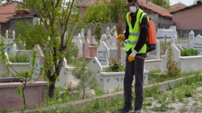 Alaca Belediyesi'nden Yabani Otla M&uuml;cadele