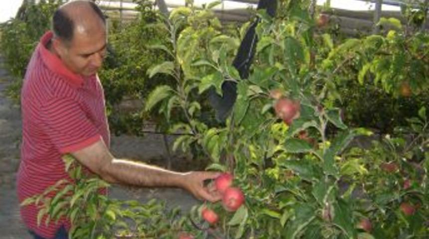 Niğde, Avrupa ve T&uuml;rkiye&rsquo;nin elma deposu olmak i&ccedil;in yatırımcıyı bekliyor