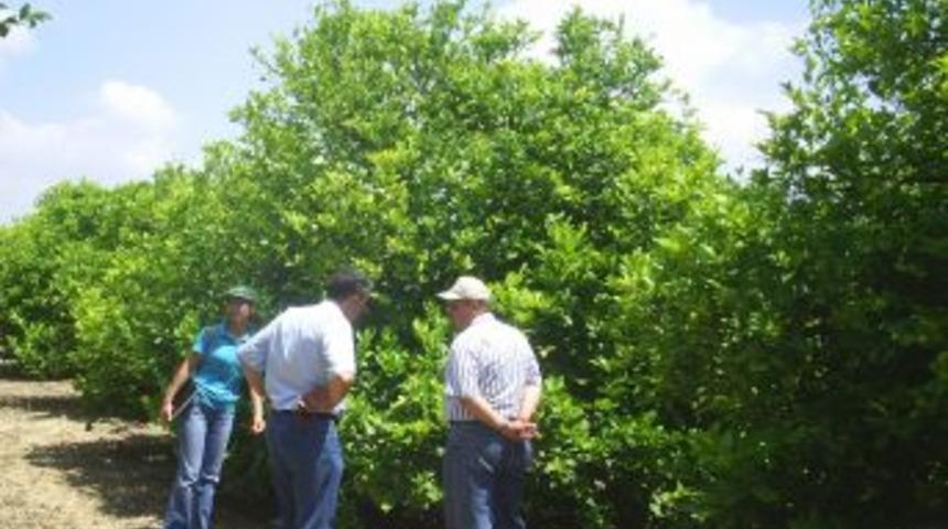 T&uuml;rkiye'nin Meyve Deposunda Zamansız Hasada Son