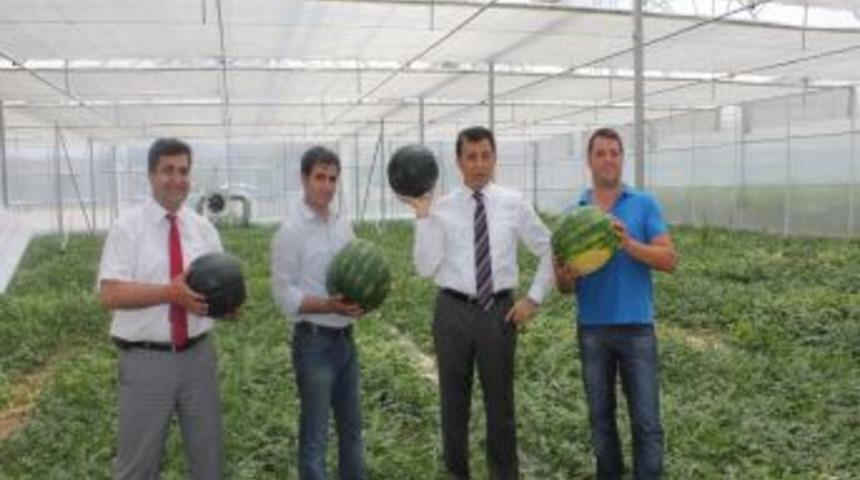 Serikli &uuml;retici 2011'de 10 milyon 343 bin 855 TL hibe desteği aldı