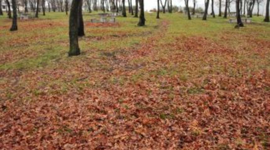 Atakum Belediyesi Gen&ccedil;lik Kampı Başlıyor