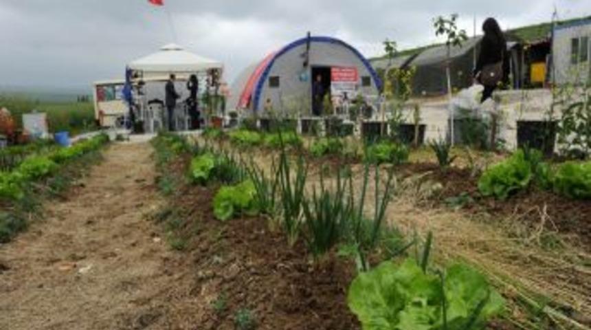 Cezaevi &ouml;n&uuml;n&uuml; sebze bah&ccedil;esine &ccedil;evirdiler