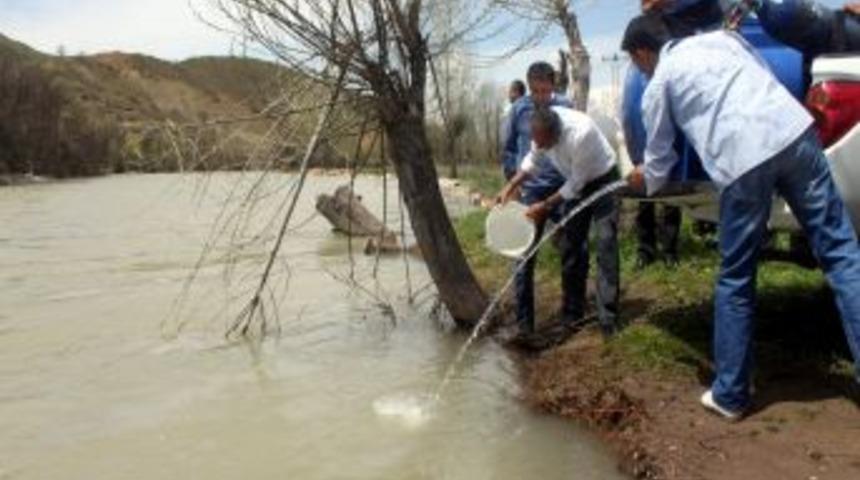 Tunceli'de Munzur &Ccedil;ayı'na 5 Bin Alabalık Bırakıldı