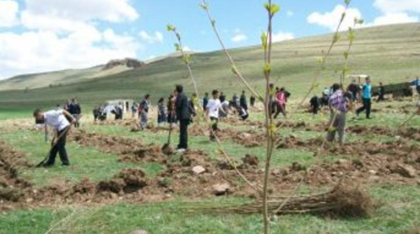 Şekerli'de Bin &Ccedil;am Ve Huş Fidesi Toprakla Buluştu