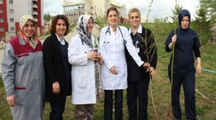 Şiddete Tepki İ&ccedil;in Ağa&ccedil; Diktiler