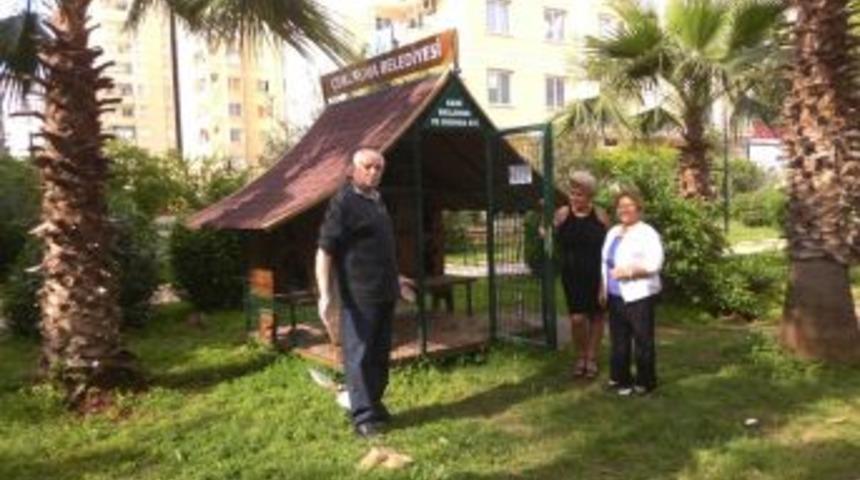 T&uuml;rkiye&rsquo;nin ilk kedi evi Adana&rsquo;da a&ccedil;ılıyor