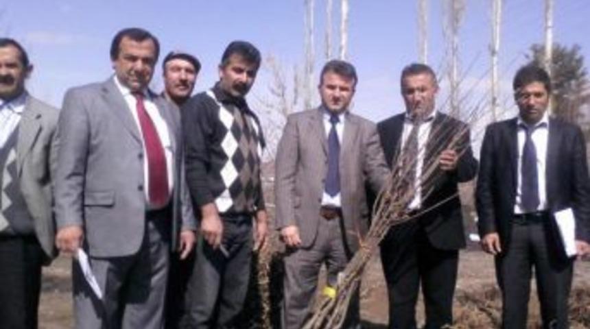 Hınıs&rsquo;ta meyvecilik teşvik ediliyor